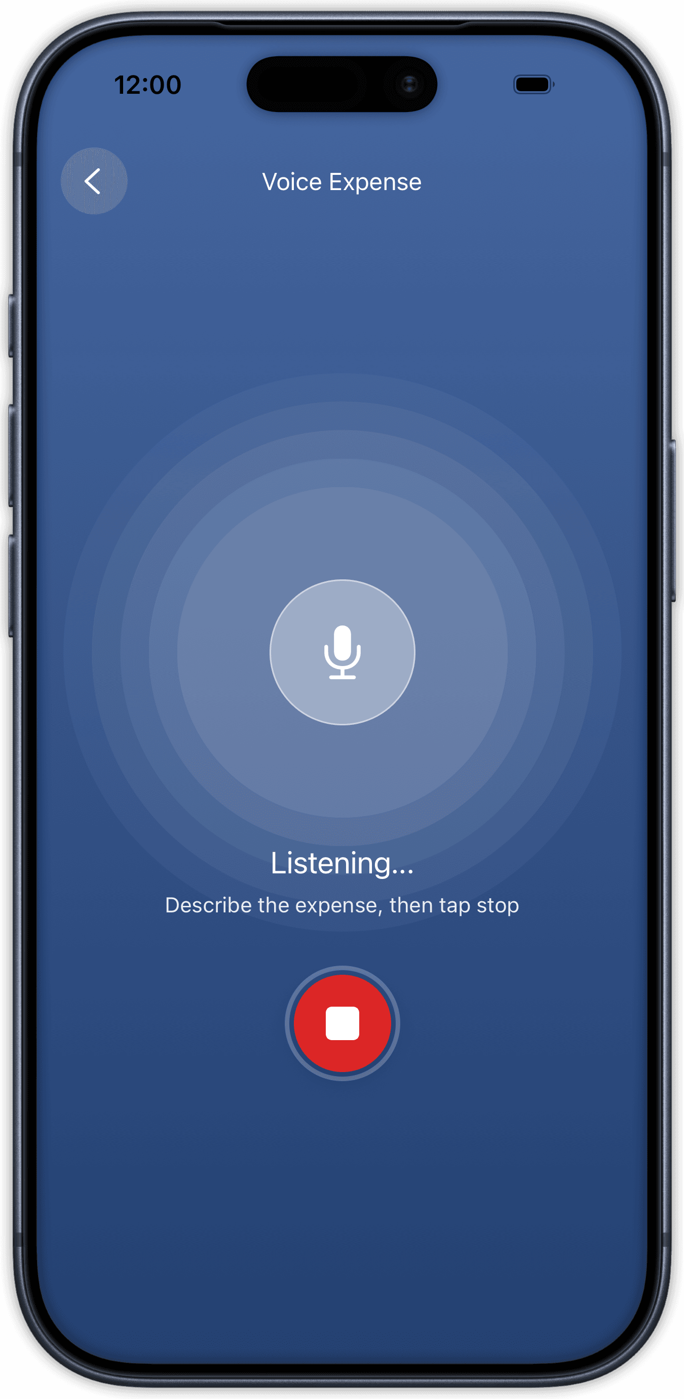 Log Expenses by Voice — app screen