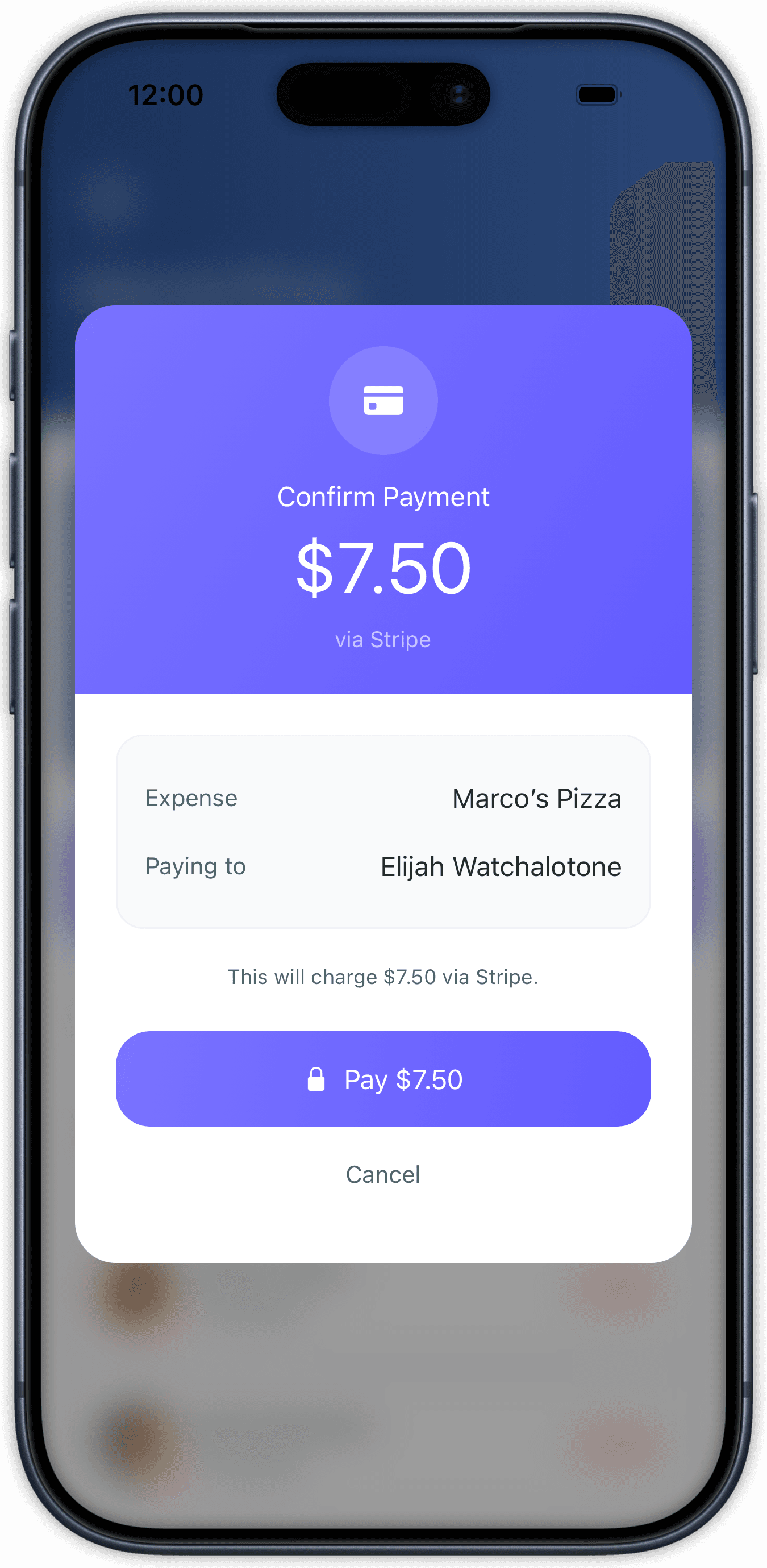 Stripe payment review screen in SplitMate